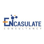 A great web designer: Encasulate Consultancy, Ahmedabad, India