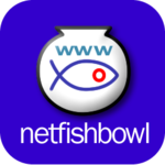 A great web designer: Netfishbowl, Meridian, MS