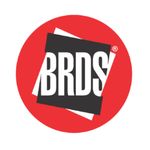 A great web designer: BRDS India, Ahmedabad, India
