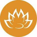 A great web designer: Whitelotus Corporation, Ahmedabad, India