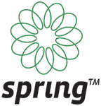A great web designer: Spring Technologies Ltd., Amman, Jordan