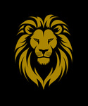 A great web designer: Lion Culture Media, Charlotte, NC