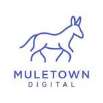 A great web designer: Muletown Digital, Columbia, MO