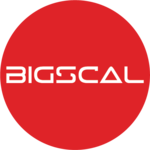 A great web designer: Bigscal Technologies PVT. LTD., New York, NY