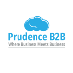 A great web designer: Prudence B2B, Durham, NC