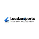 A great web designer: Leadz Experts, Dover, DE