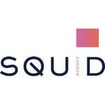 A great web designer: Agency Squid, Minneapolis, MN
