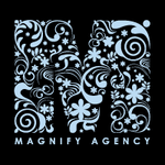A great web designer: Magnify Agency, Orlando, FL