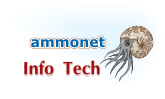 A great web designer: ammonet InfoTech, Zurich, Switzerland