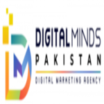 A great web designer: Digital Minds Pkaistan, Karachi, Pakistan