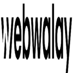 A great web designer: Web Walay, Karachi, Pakistan