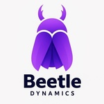 A great web designer: Beetle Dynamics, Dubai, India