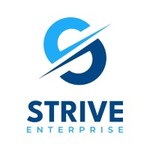 A great web designer: Strive Enterprise, Los Angeles, CA