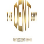 A great web designer: THE DENT GUY, La Jolla, CA