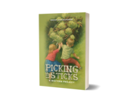 A great web designer: Gregory Allen Badersnider, Rockford, IL