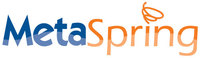 A great web designer: MetaSpring, LLC, Ann Arbor, MI