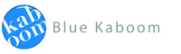 A great web designer: Blue Kaboom Design, Cincinnati, OH
