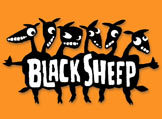 A great web designer: Black Sheep Web Design, Albany, NY