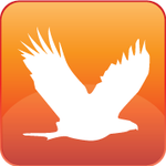 A great web designer: Vista Interactive, Izmir, Turkey