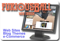 A great web designer: furiousBall Web Design, Philadelphia, PA
