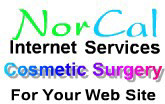 A great web designer: NorCal Internet Services, San Francisco, CA