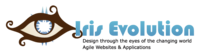 A great web designer: Iris Evolution, San Antonio, TX