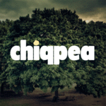 A great web designer: Chiqpea Multimedia Inc., Toronto, Canada
