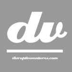 A great web designer: Disruptive Ventures, Inc., Fort Wayne, IN