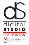 A great web designer: Digital Studio Monterey Bay, Monterey, CA