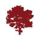 A great web designer: Mapleton Hill Media, Denver, CO