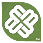 A great web designer: BoiloMedia, Manila, Philippines