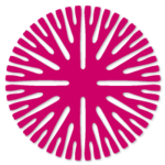 A great web designer: CoreLand Studio, Ghent, Belgium