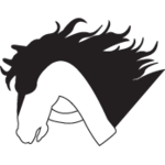 A great web designer: Al-Adham Web Solutions, cairo, Egypt