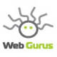 A great web designer: WebGurus, Cluj, Romania