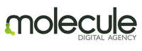 A great web designer: Molecule, Bergen, Norway