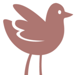 A great web designer: Allie Creative, Portland, OR