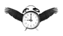 A great web designer: Clockworkbird, Chicago, IL