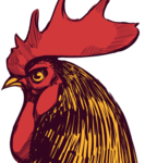 A great web designer: bocoup, Boston, MA