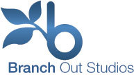 A great web designer: Branch Out Studios, Detroit, MI