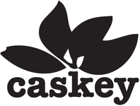 A great web designer: Caskey Art & Development, Denver, CO