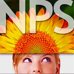 A great web designer: New Planet Studios, Washington DC, DC