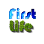 A great web designer: first life, all Poland, Poland