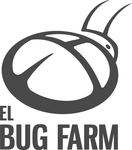 A great web designer: El Bug Farm, Los Angeles, CA