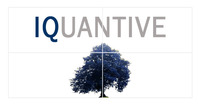 A great web designer: iquantive, Toronto, Canada