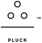 A great web designer: Pluck™, Tampa, FL