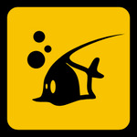 A great web designer: FISH studio, Bucharest, Romania