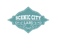 A great web designer: Scenic City Labs, Chattanooga, TN