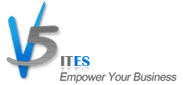 A great web designer: V5ITES, Hyderabad, India