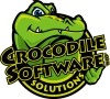 A great web designer: Crocodile Software, Houston, TX