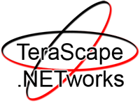 A great web designer: TeraScape Networks, Shanghai, China